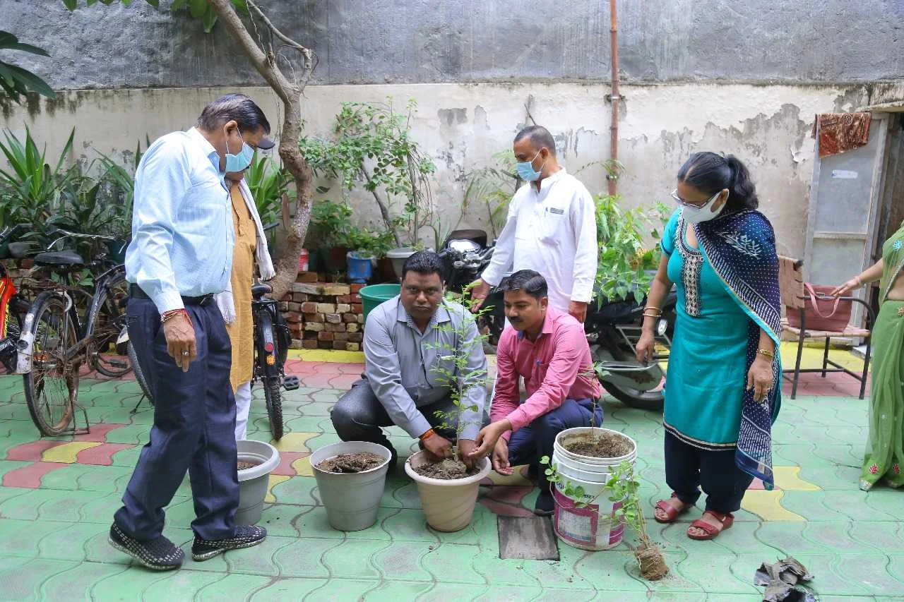 Environment Day Tree Plantation